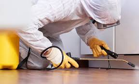 Real Estate Pest Inspections in Point, TX